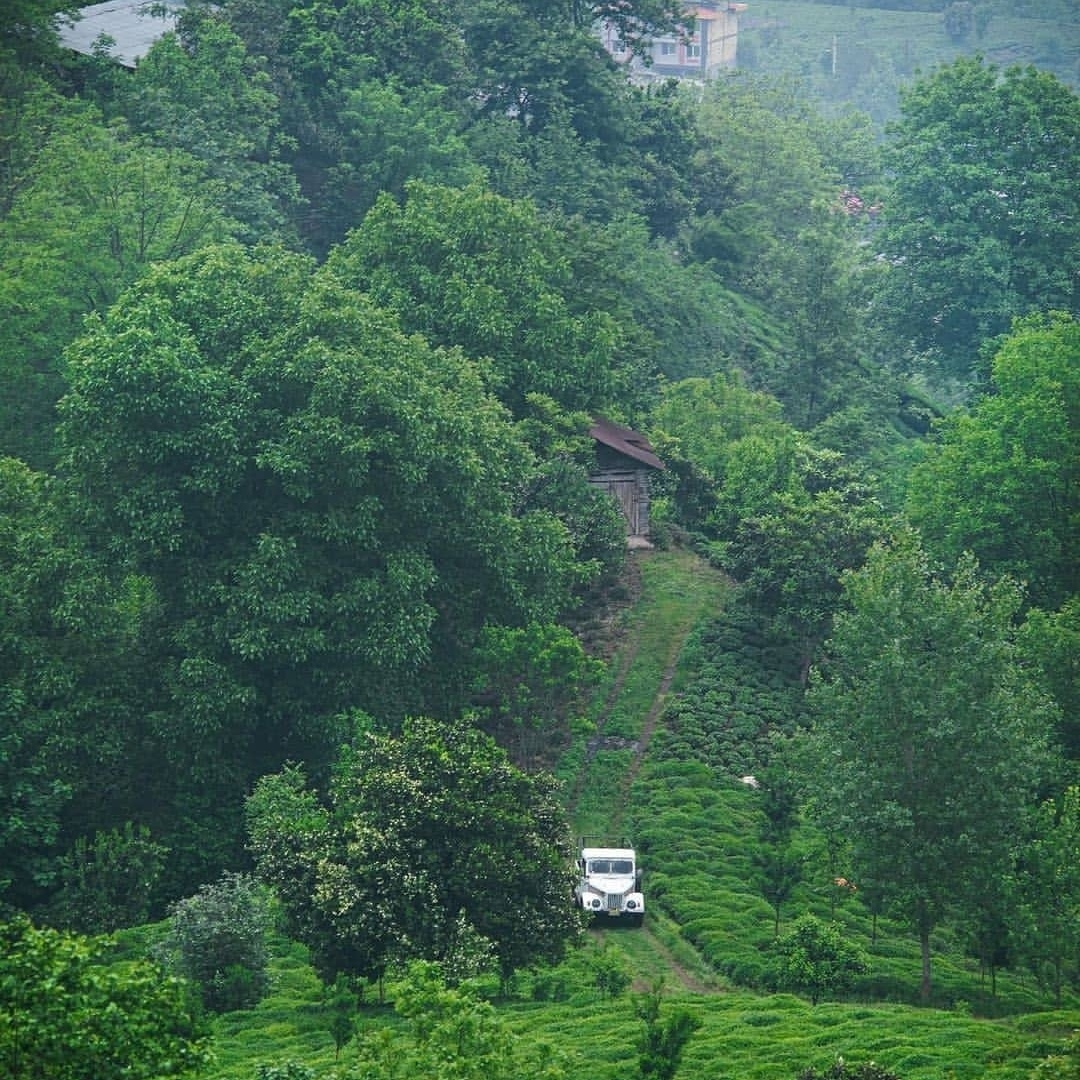 زهرا قاسمی فصل بهار